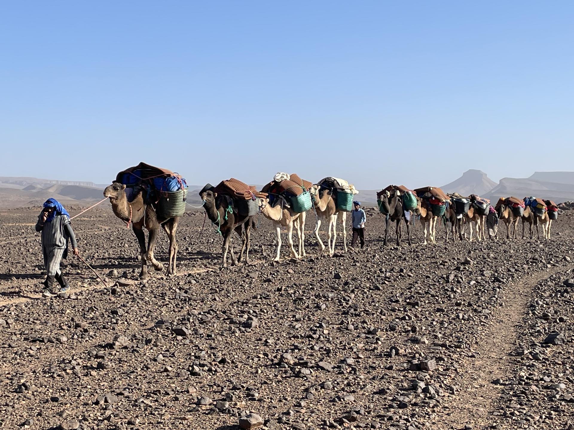Sahara-2022@KatrineWarhuus (6)