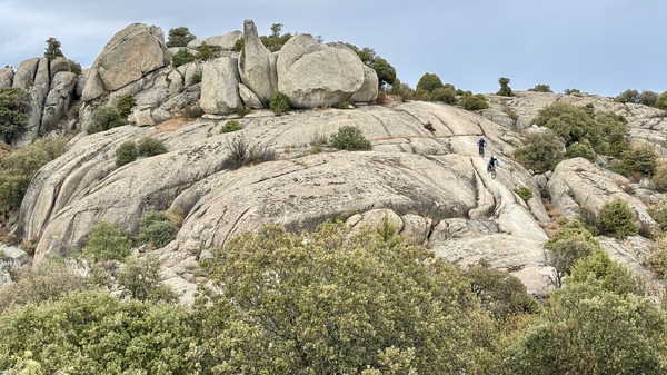 Terrengsyklist på sti