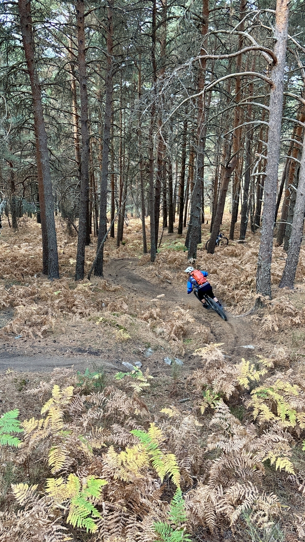 Terrengsyklist på sti