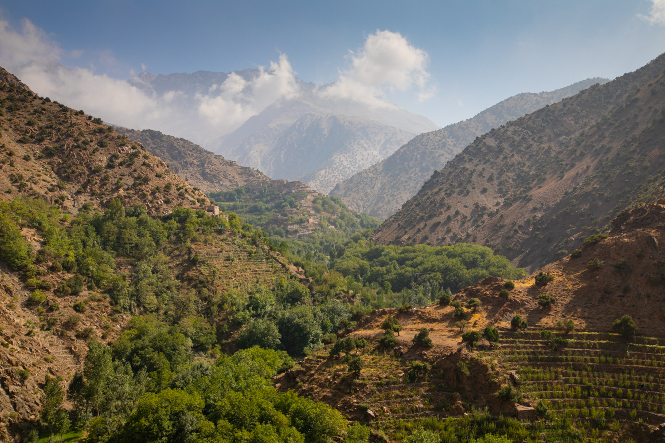 Grønn dal i ørkenlandskap