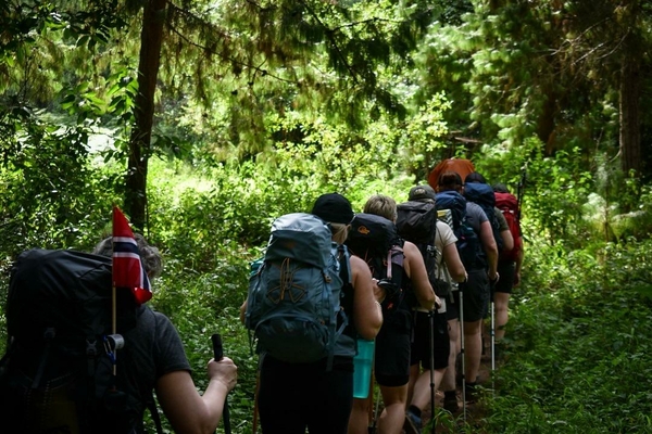Folk på tur i skogen