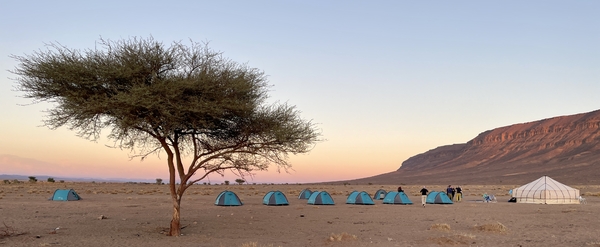 Tents in the sunset in the desert with mountains and a tree