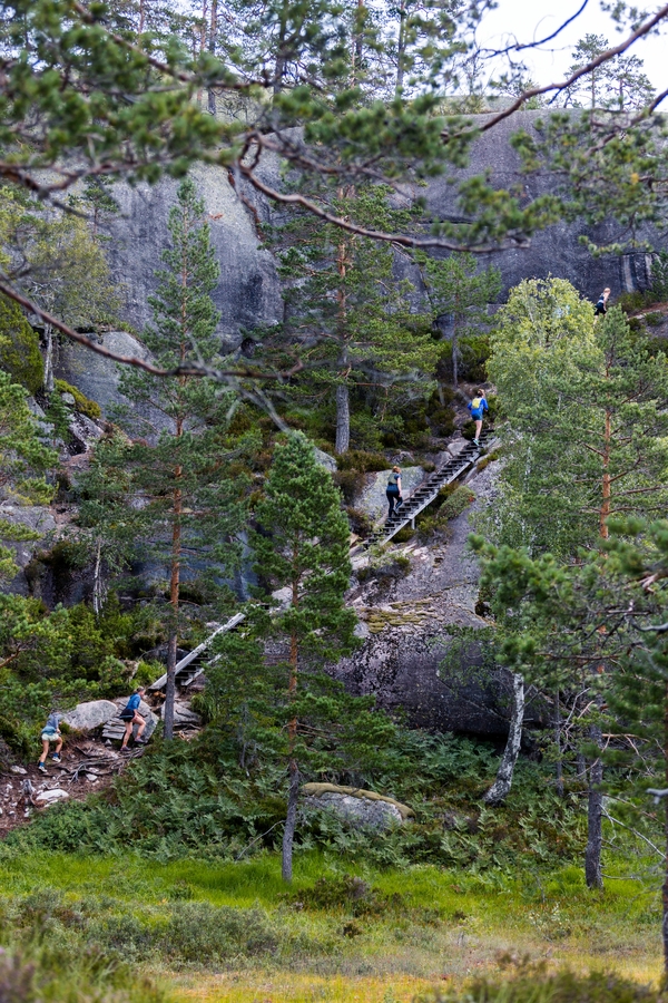 Løpere i skogen på veg opp trapper