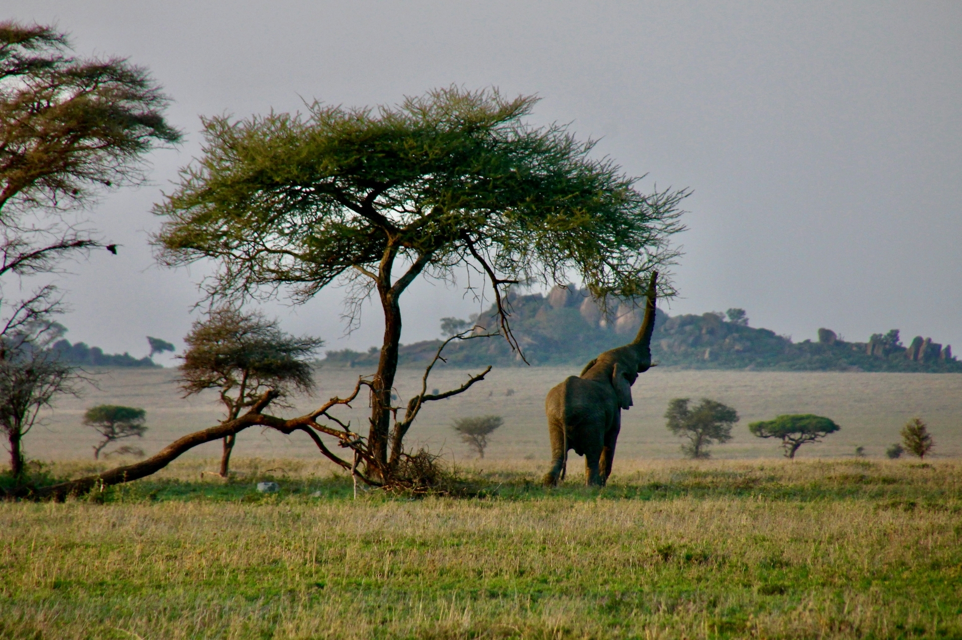 Tanzania-2026@kai-putter-unsplash