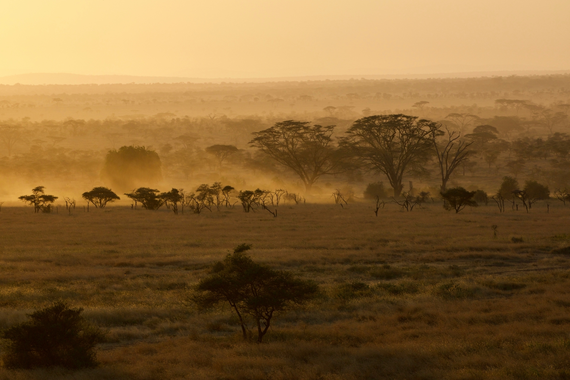 Tanzania-2026@magdalena-kula-manchee-unsplash