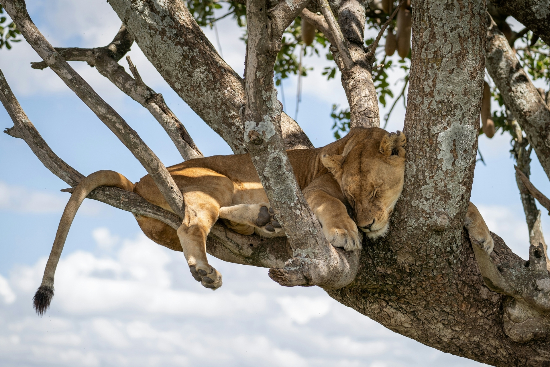 Tanzania-2026@pawel-wieladek-unsplash