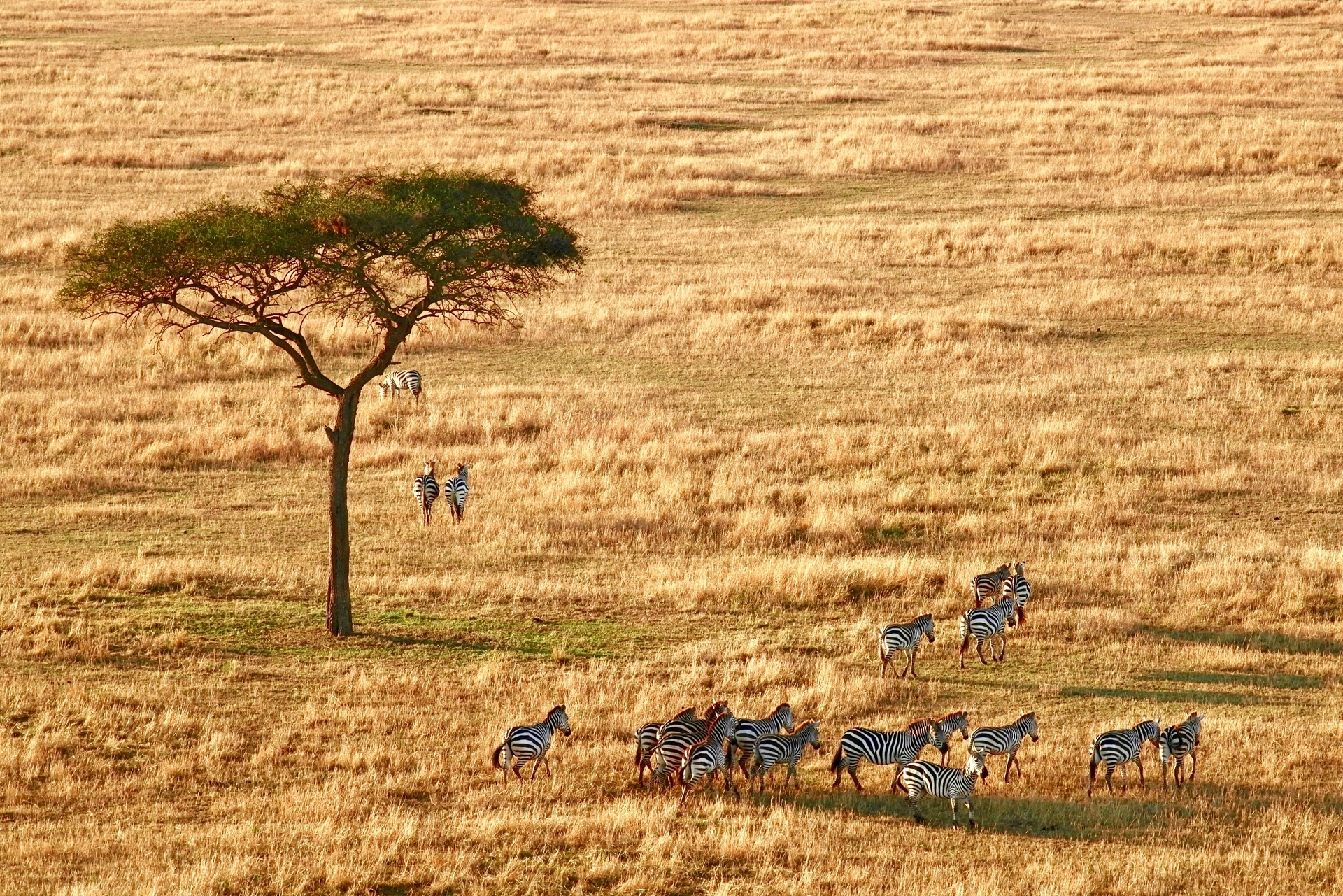 Tanzania-2026@ray-rui-unsplash