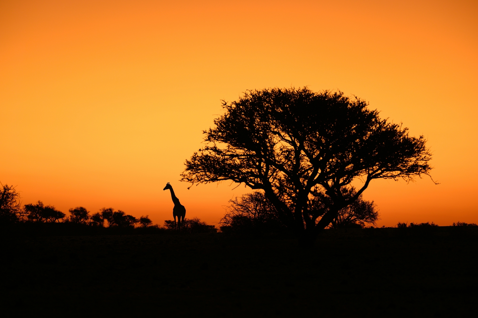 Tanzania-2026@thomas-keller-unsplash
