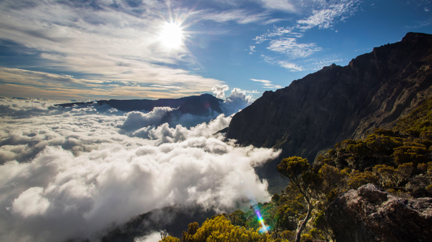 Reunion-2016@MattiBernitz (2)