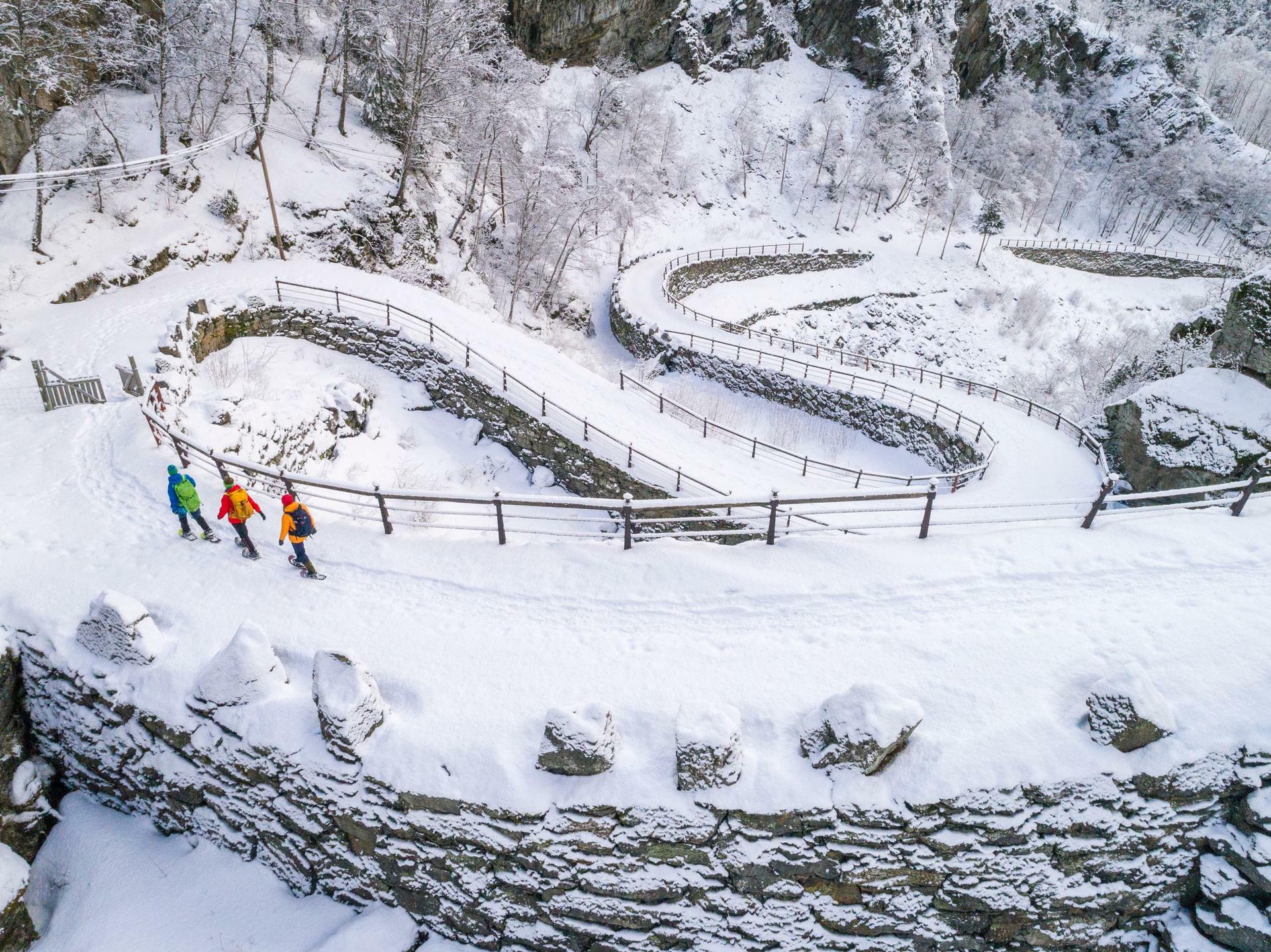 Snowshoeing and Dogsledding Jotunheimen(7)