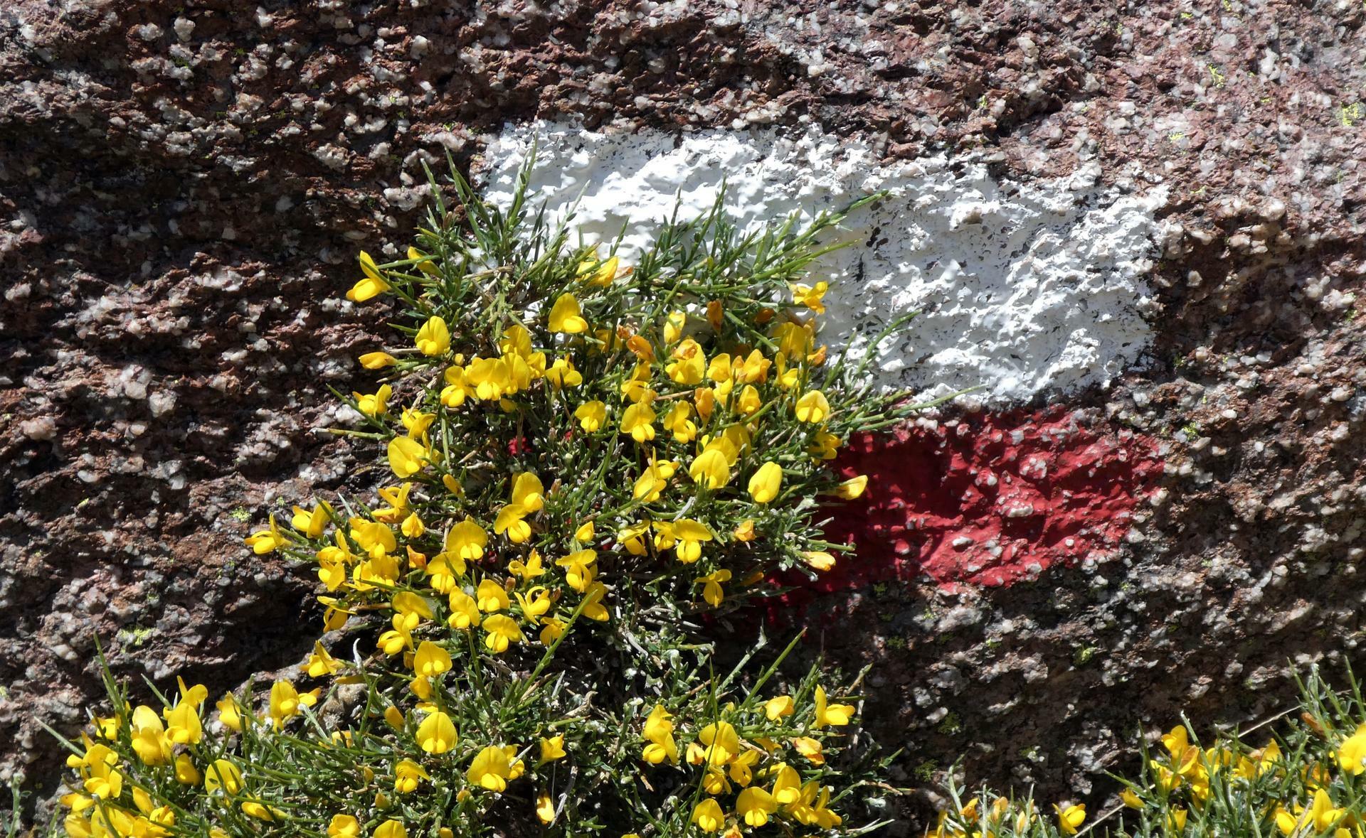 Korsika-2017@Hanne Hollås (15)