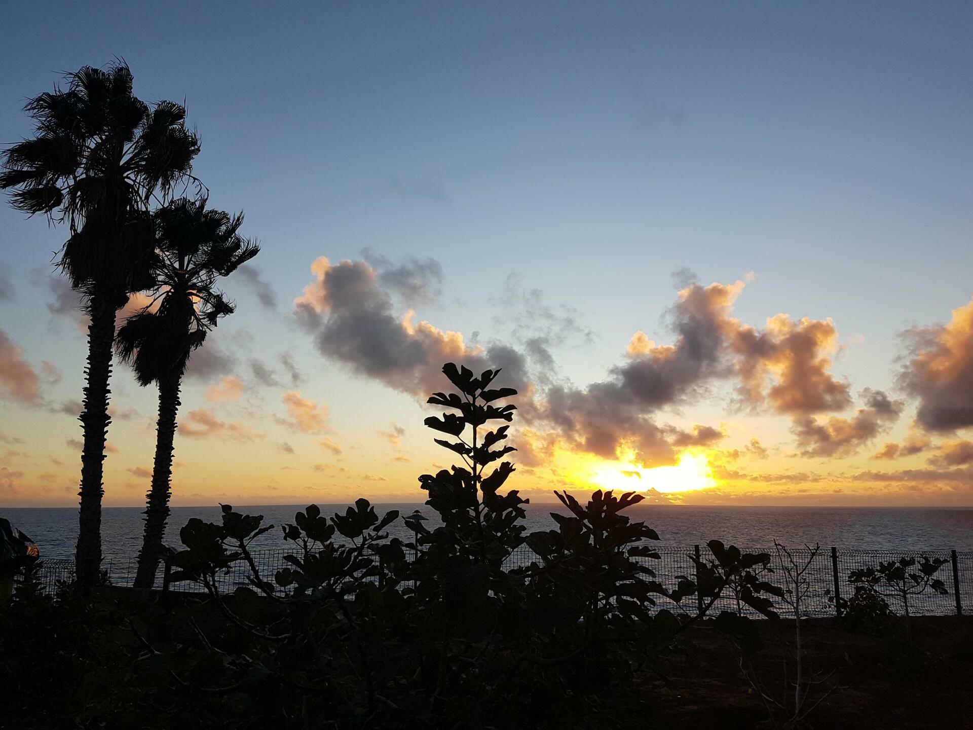 Madeira-2022@HanneHollås (83)