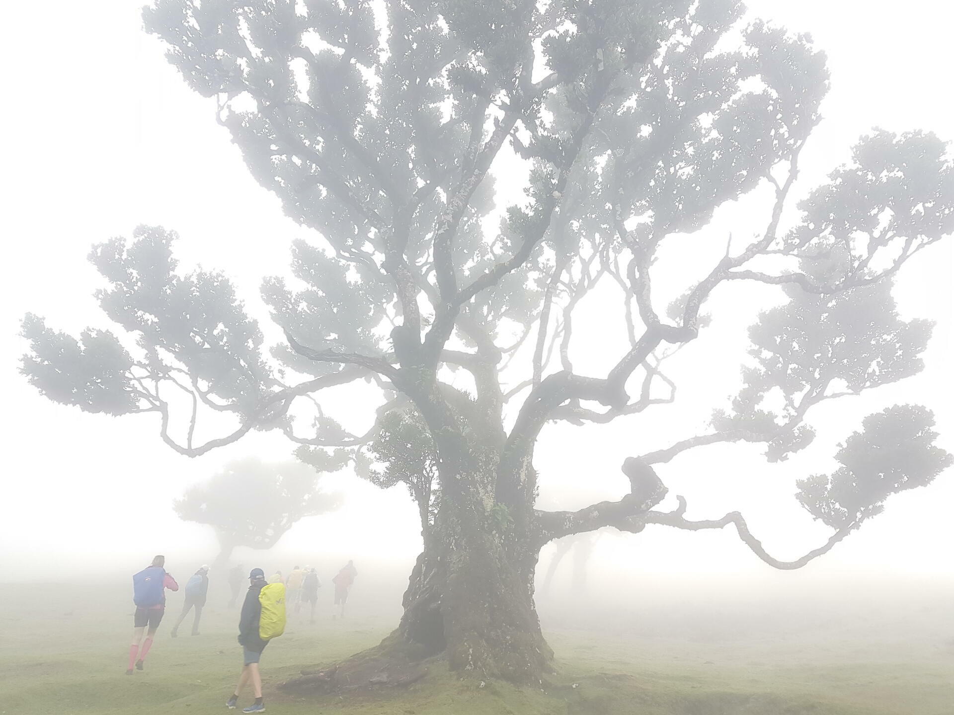 Madeira-2022@HanneHollås (48)