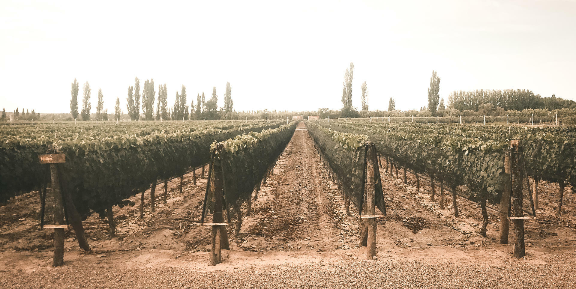 Aconcagua-2020@MagnusHendis (52)