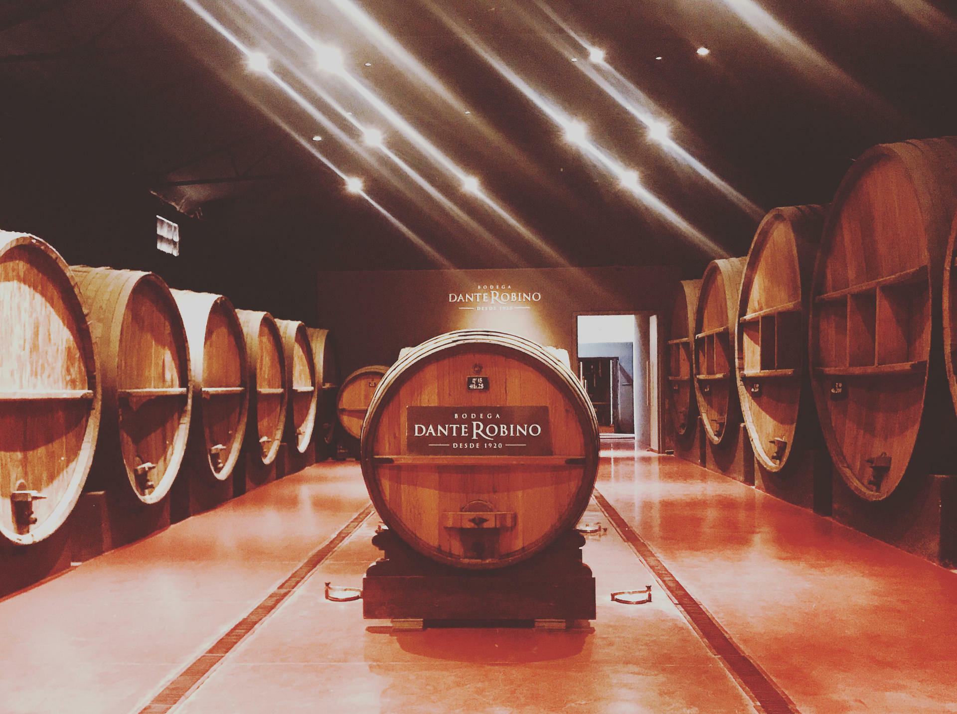 Aconcagua-2020@MagnusHendis (53)