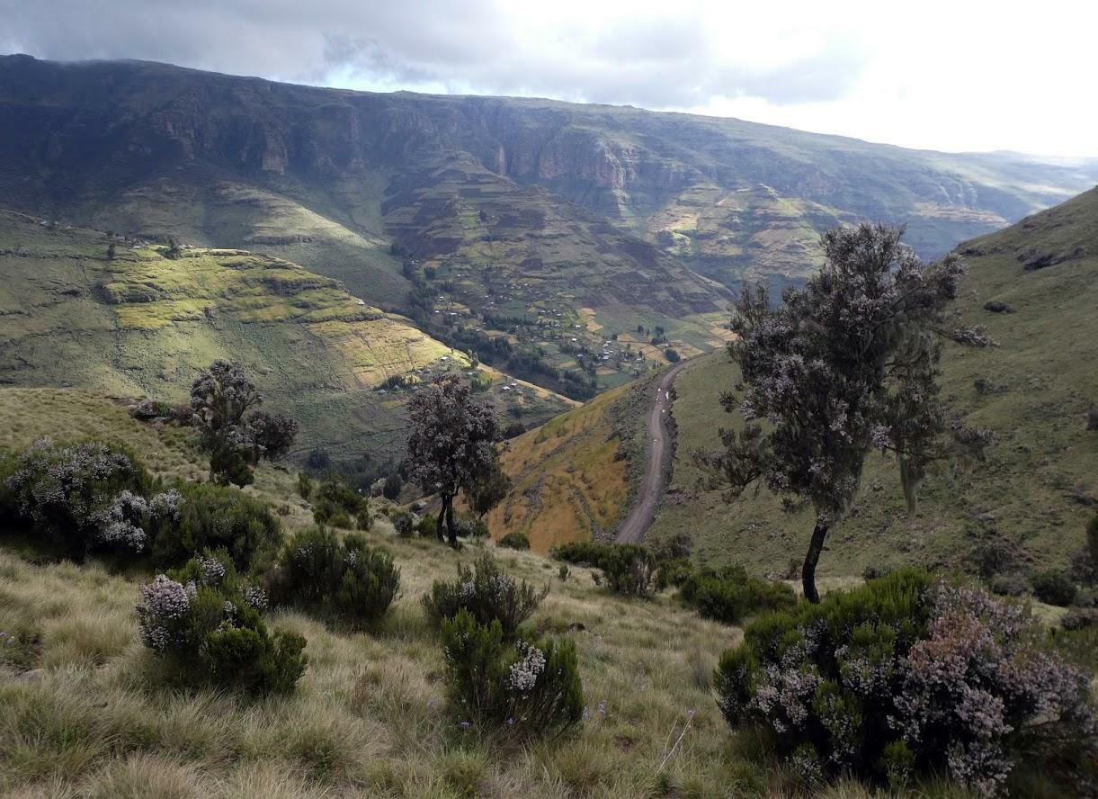 Hanne Hollås - 2019 - Fottur i Simienfjellene (23)