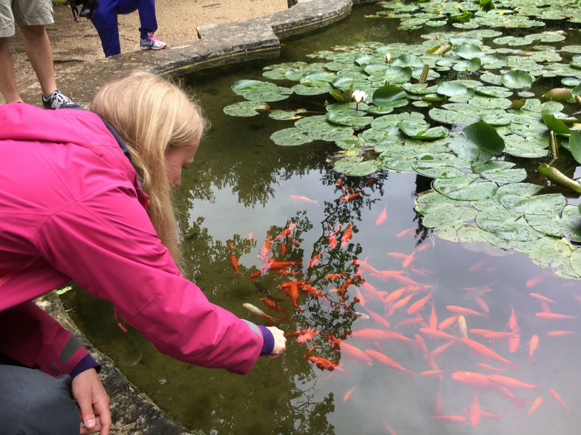 KroatiaKajakk@VegardOlsen (22)