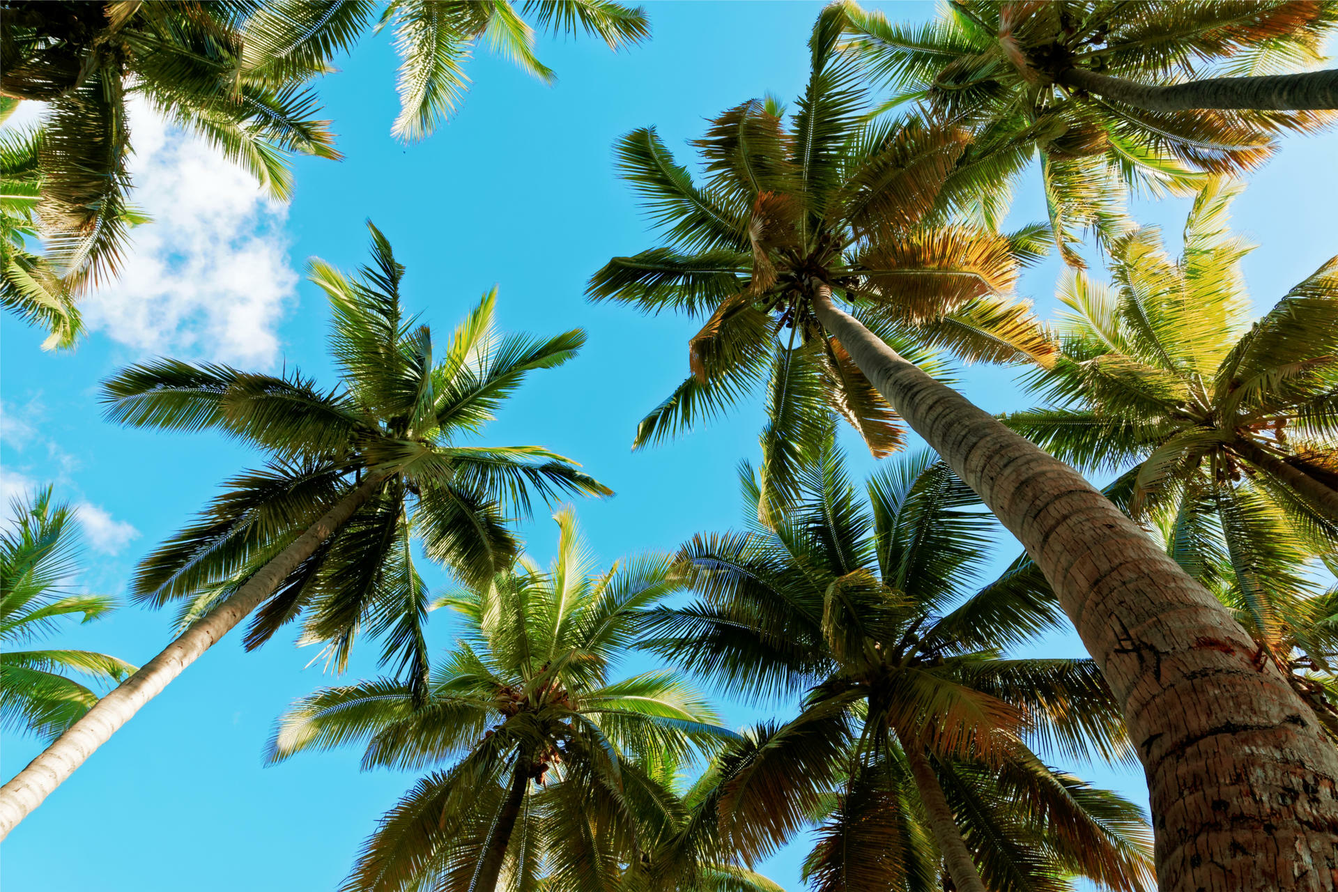 Reunion@StephaneMichel