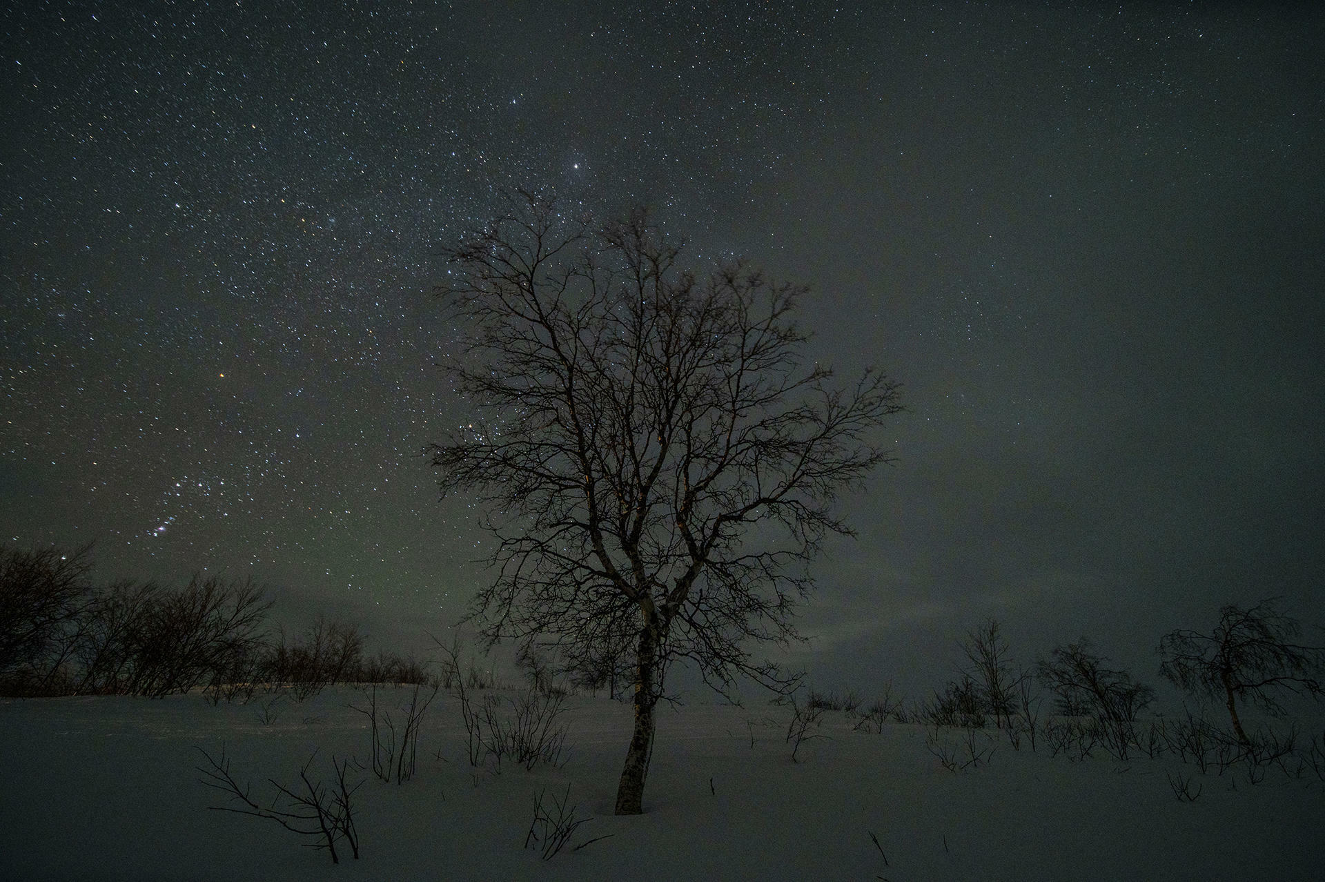 Finnmarksvidda på Ski@JørnAreLongfjeld(11)