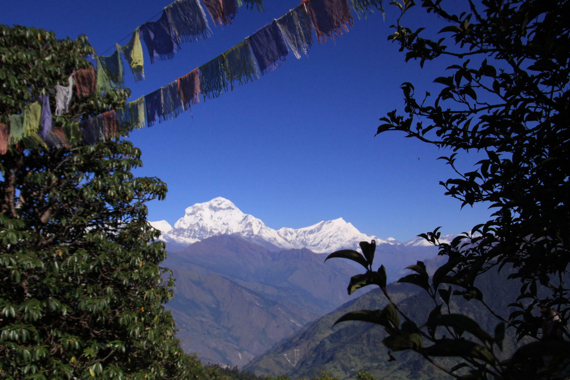 Annapurna-2011@ThorElvebakk (6)