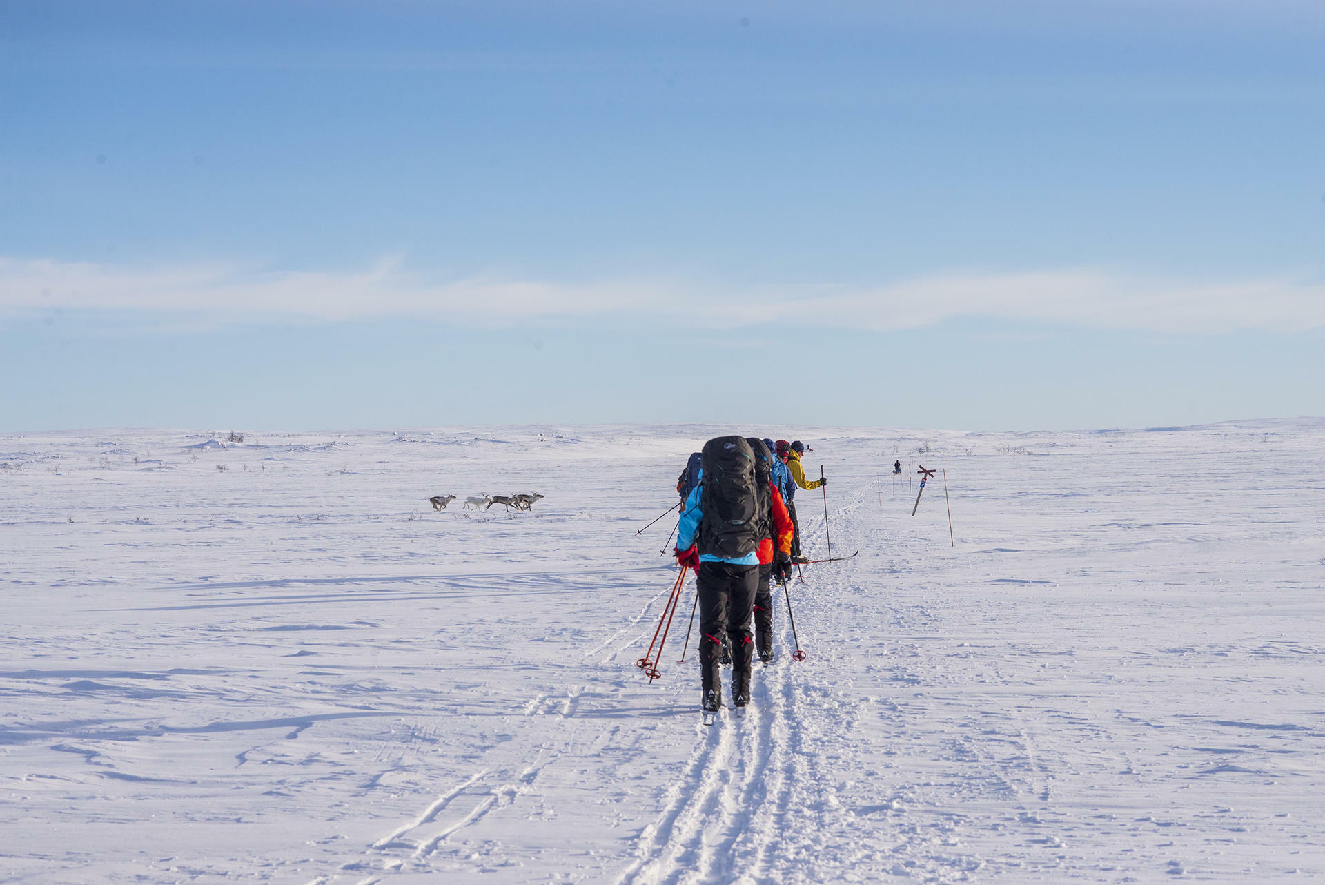 Finnmarksvidda på Ski@JørnAreLongfjeld(36)