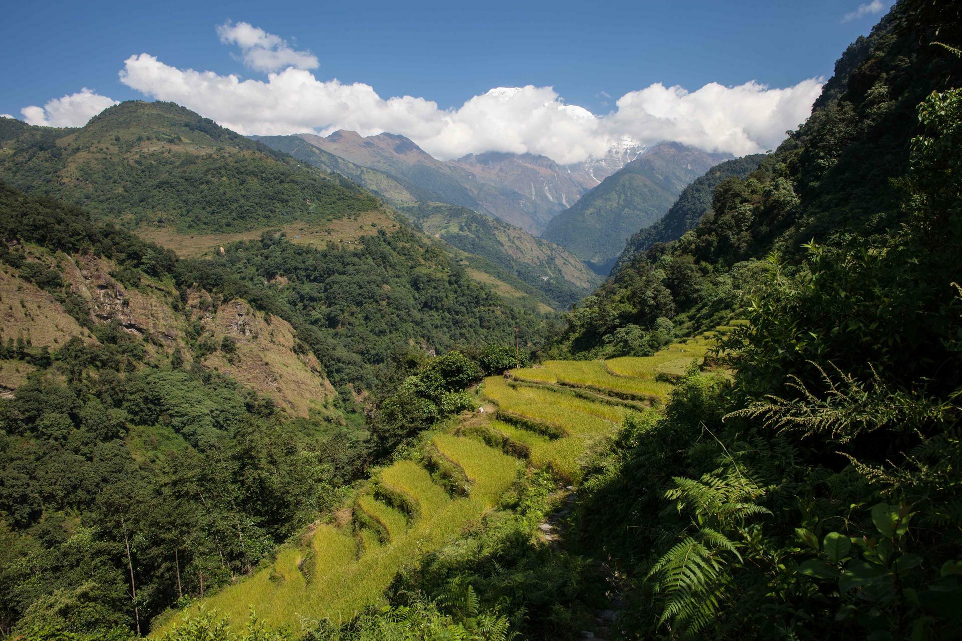 Annapurna-2012@MagnusHendis (51)