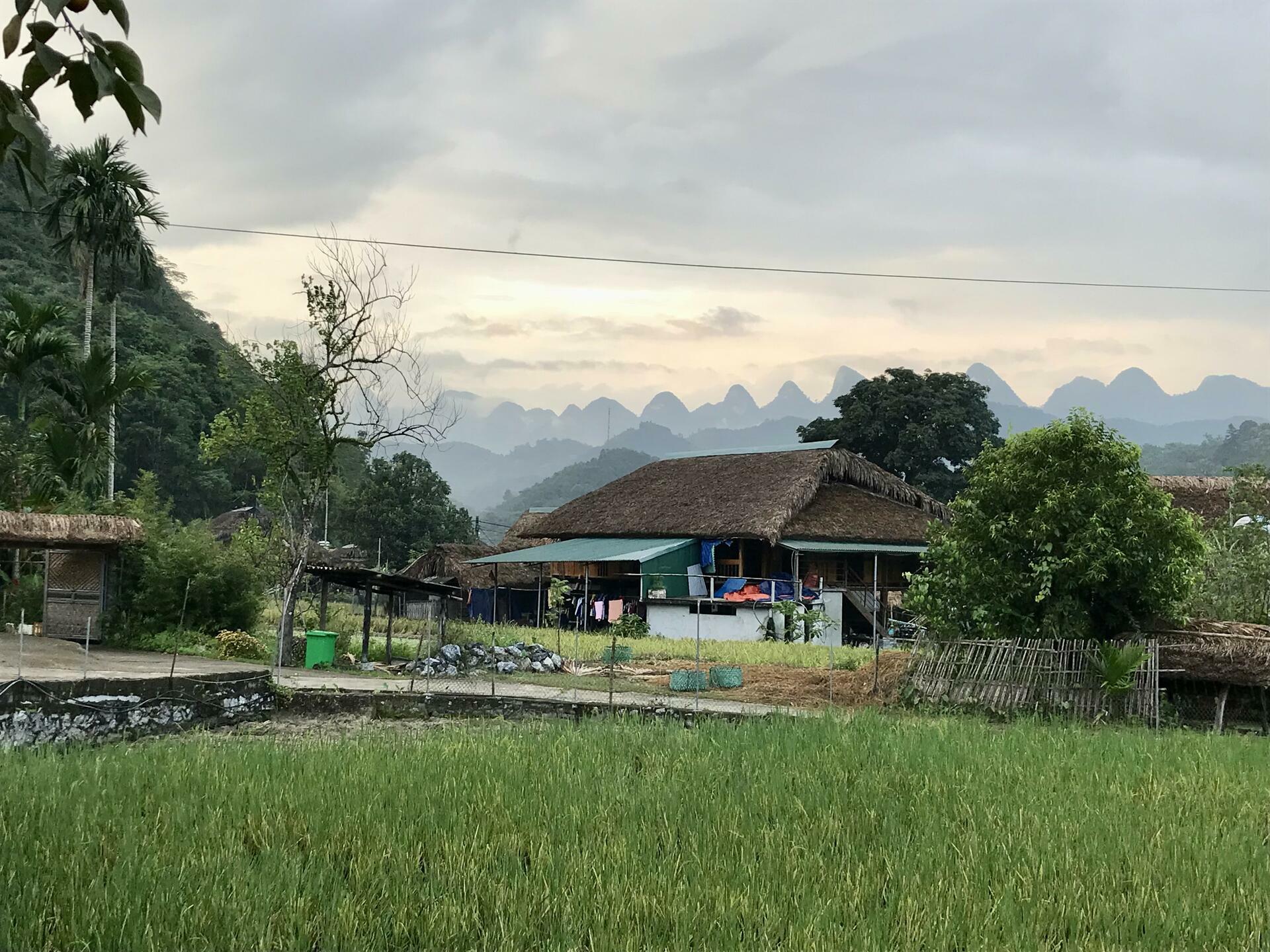 VietnamTrek-2024@MikeHolley (5)