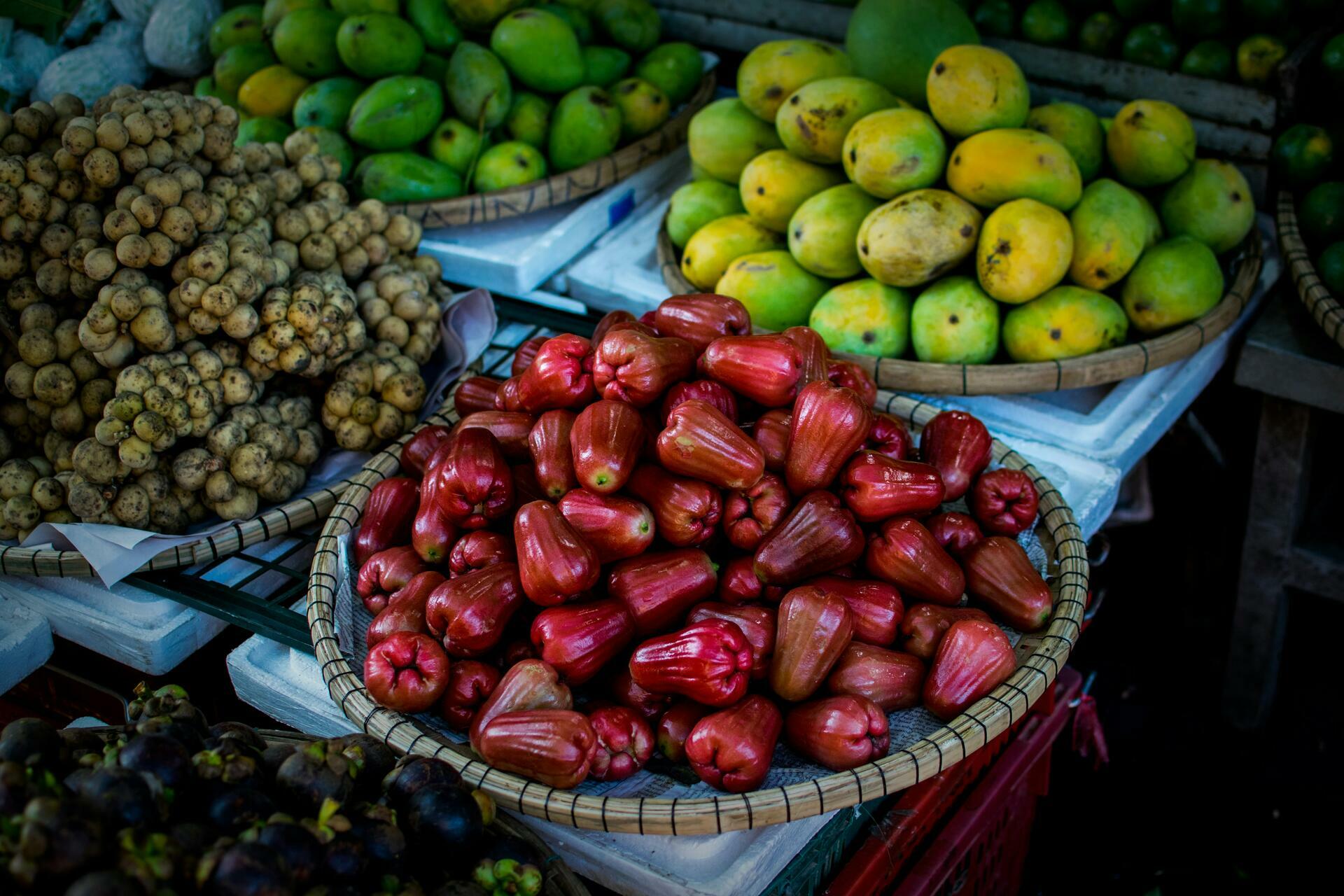 Vietnam-2025@ivan-bajalovic-unsplash