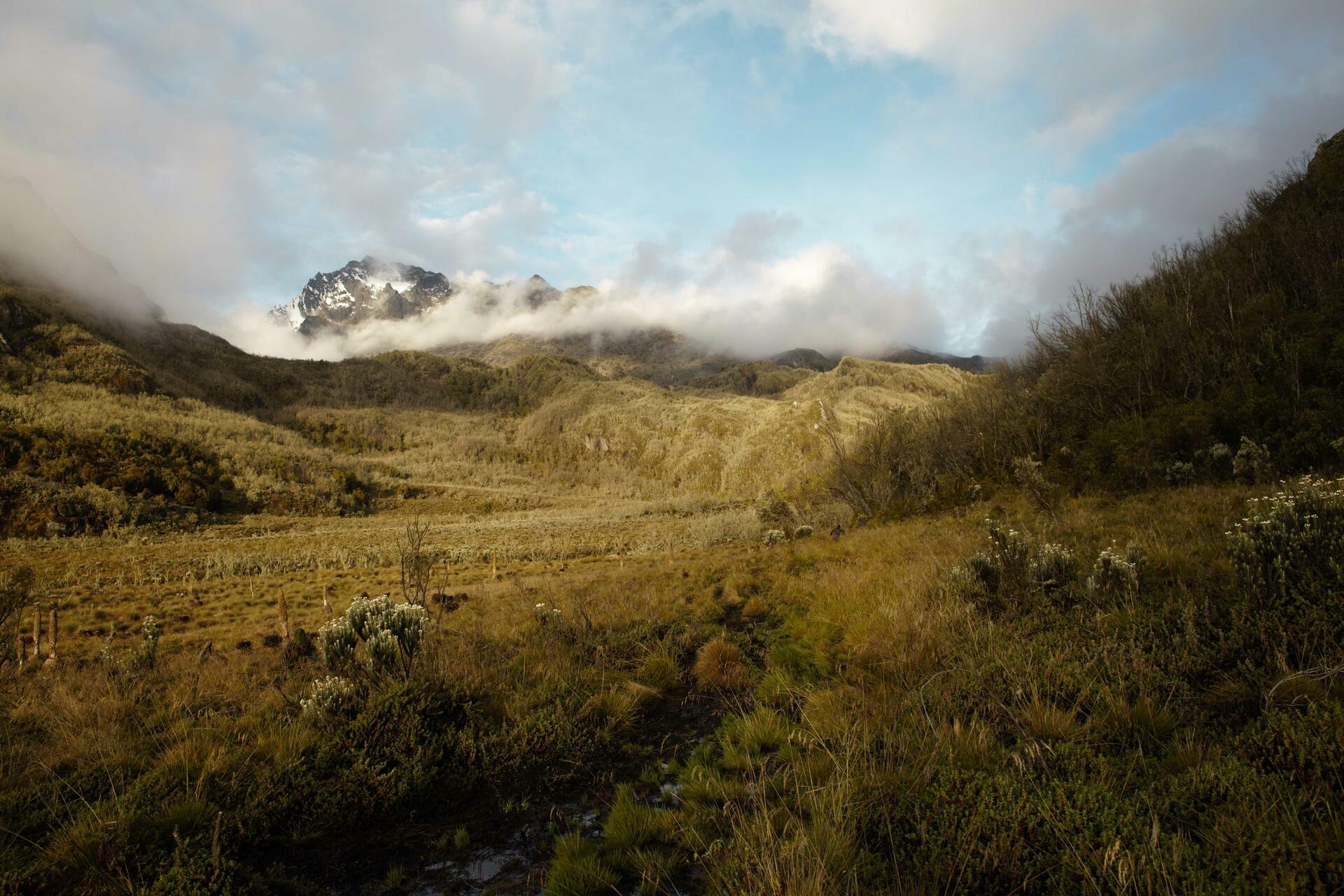 Rwenzori-2013@Magnus Hendis (16)