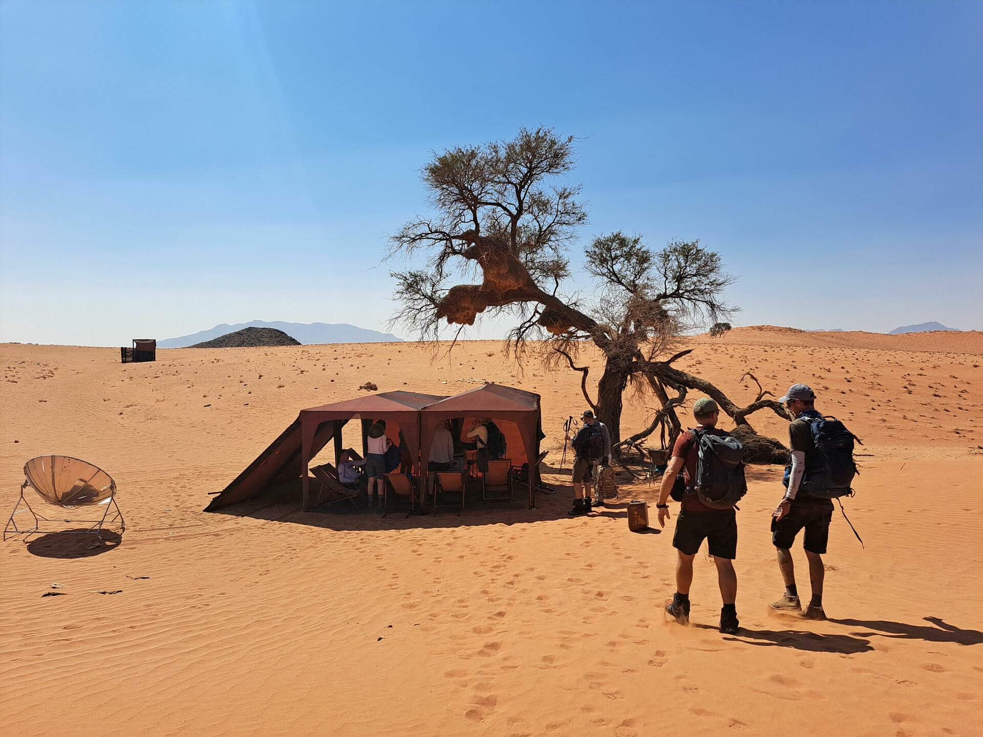 Namibia-2024@HanneHollås (96)