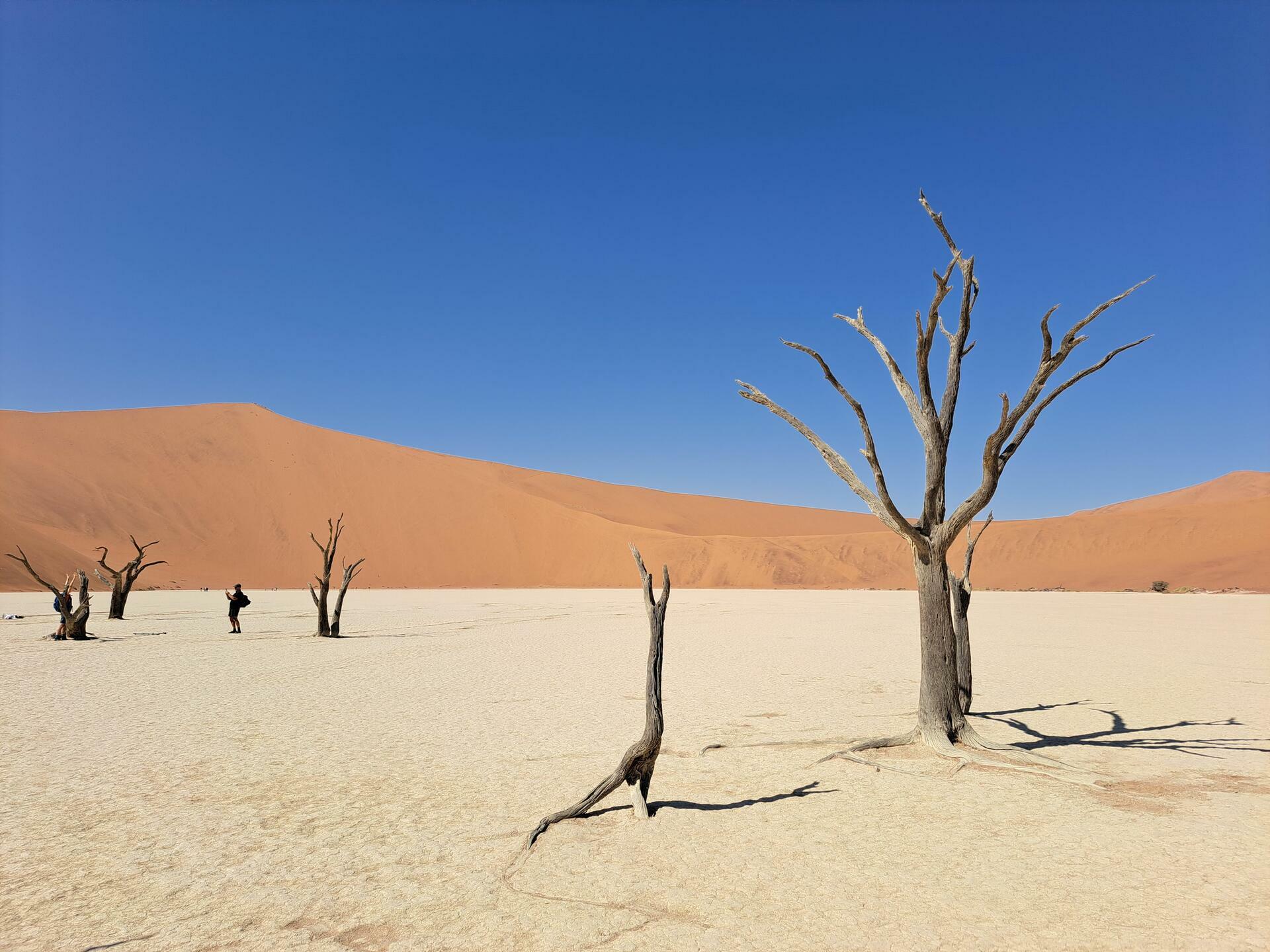 Namibia-2024@HanneHollås (55)