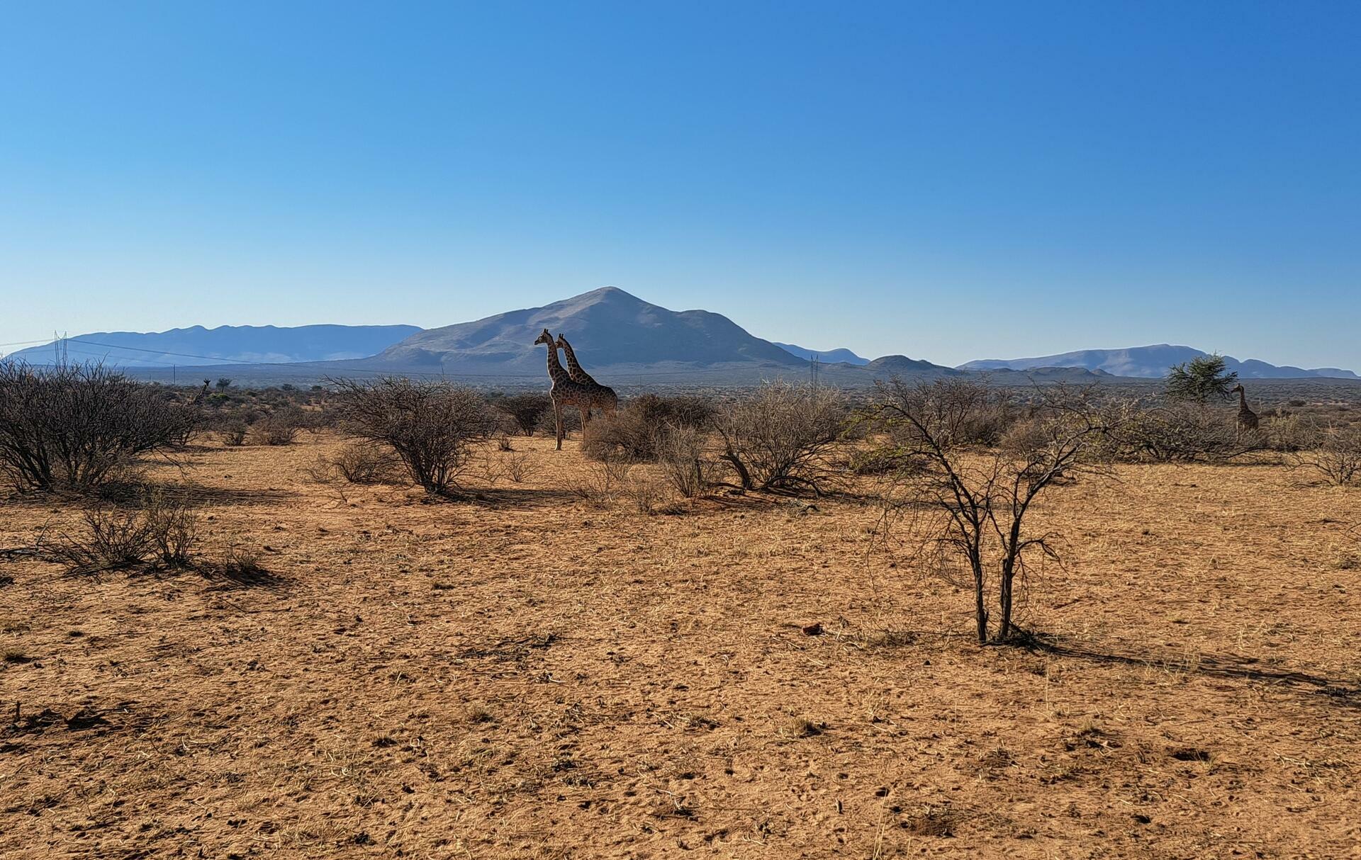 Namibia-2024@HanneHollås (73)