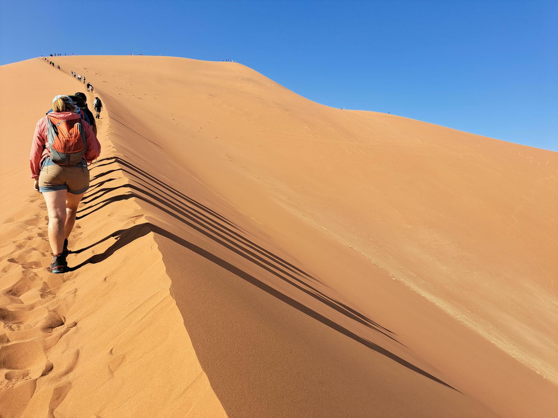 Namibia-2024@HanneHollås (80)