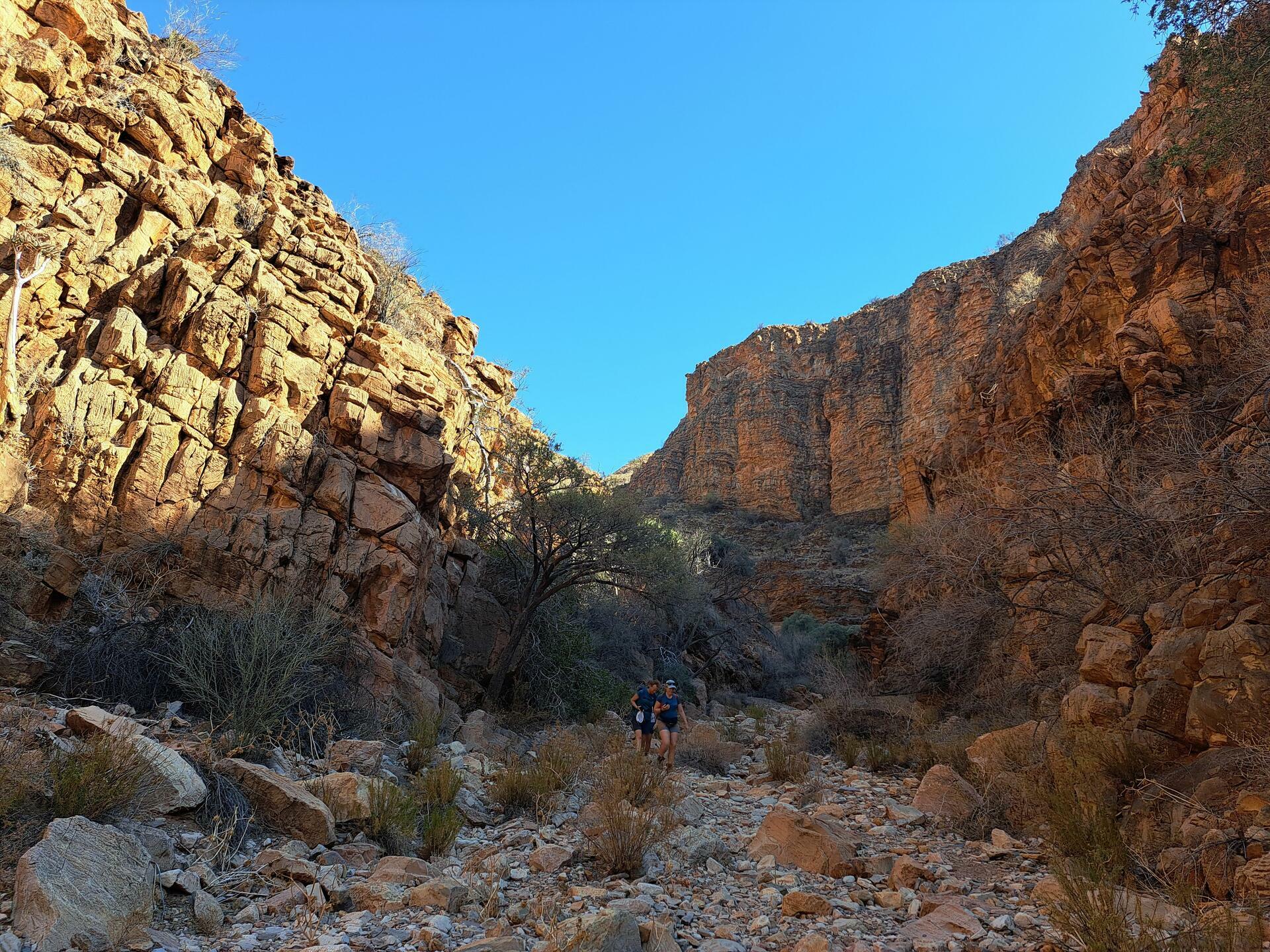 Namibia-2024@HanneHollås (66)