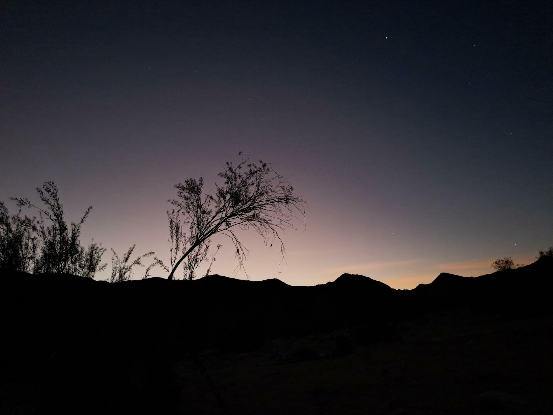 Namibia-2024@HanneHollås (125)