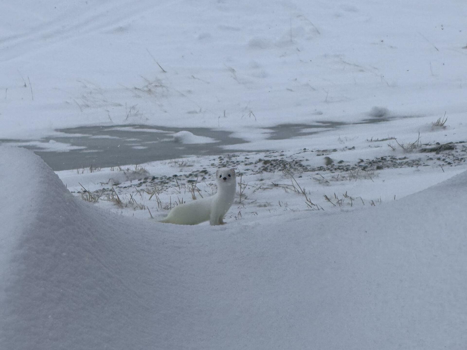 Hardangervidda på langs 8@Jørgen Brøto Torland