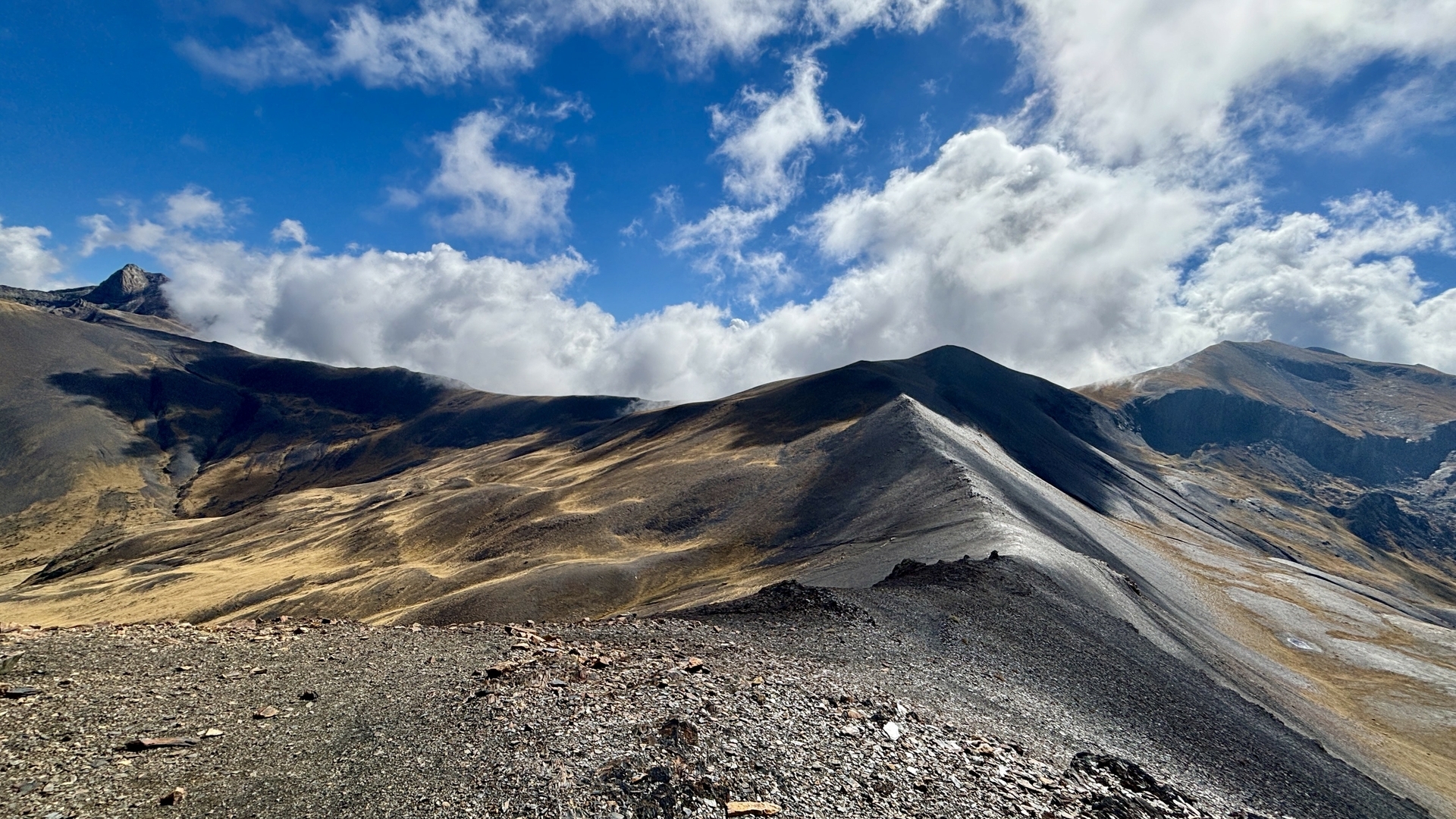 Pyreneene-2025@MikeHolley (6)