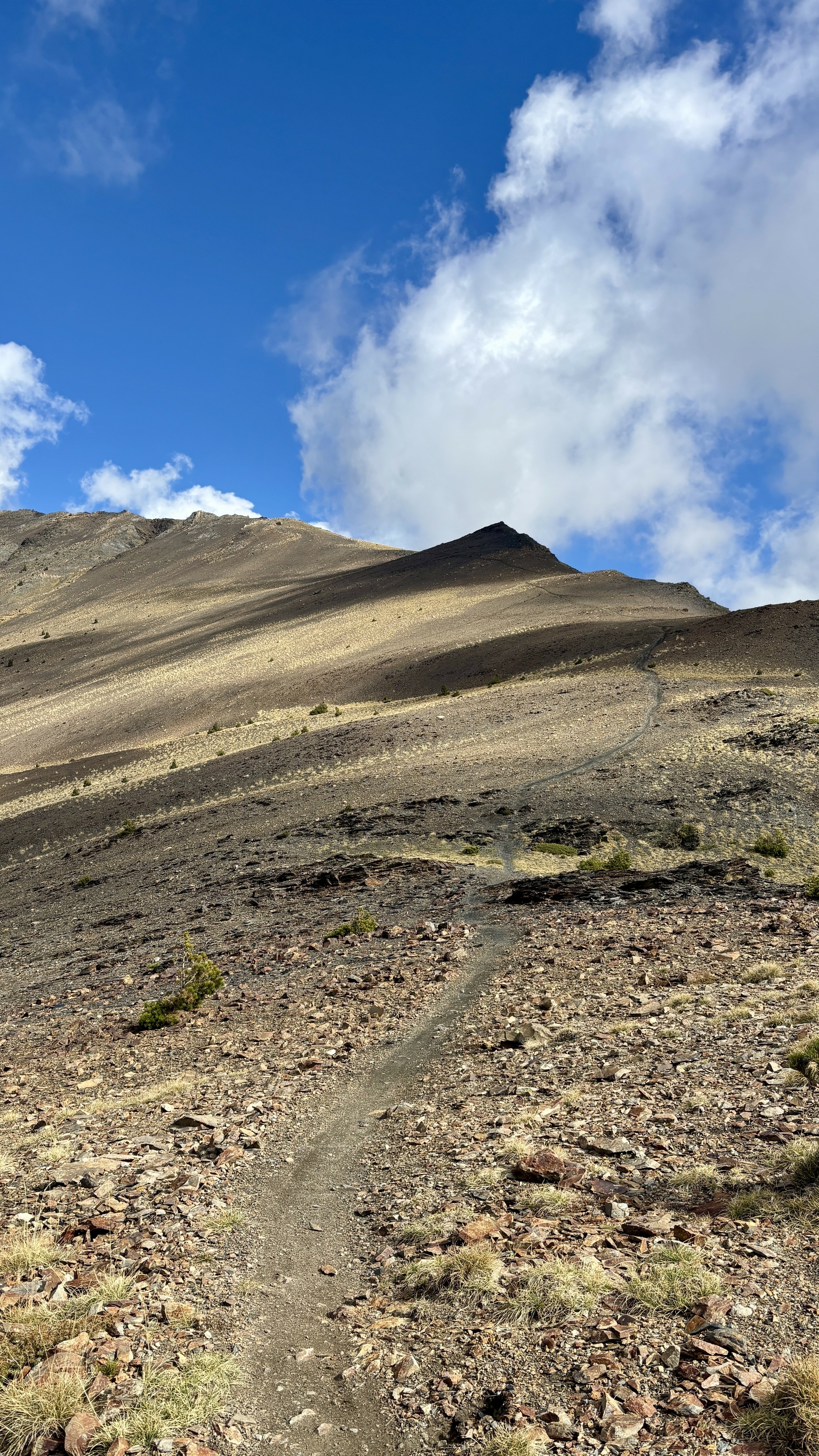 Pyreneene-2025@MikeHolley (9)