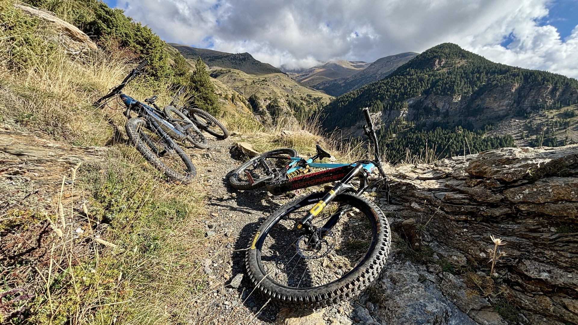 Pyreneene-2025@MikeHolley (11)