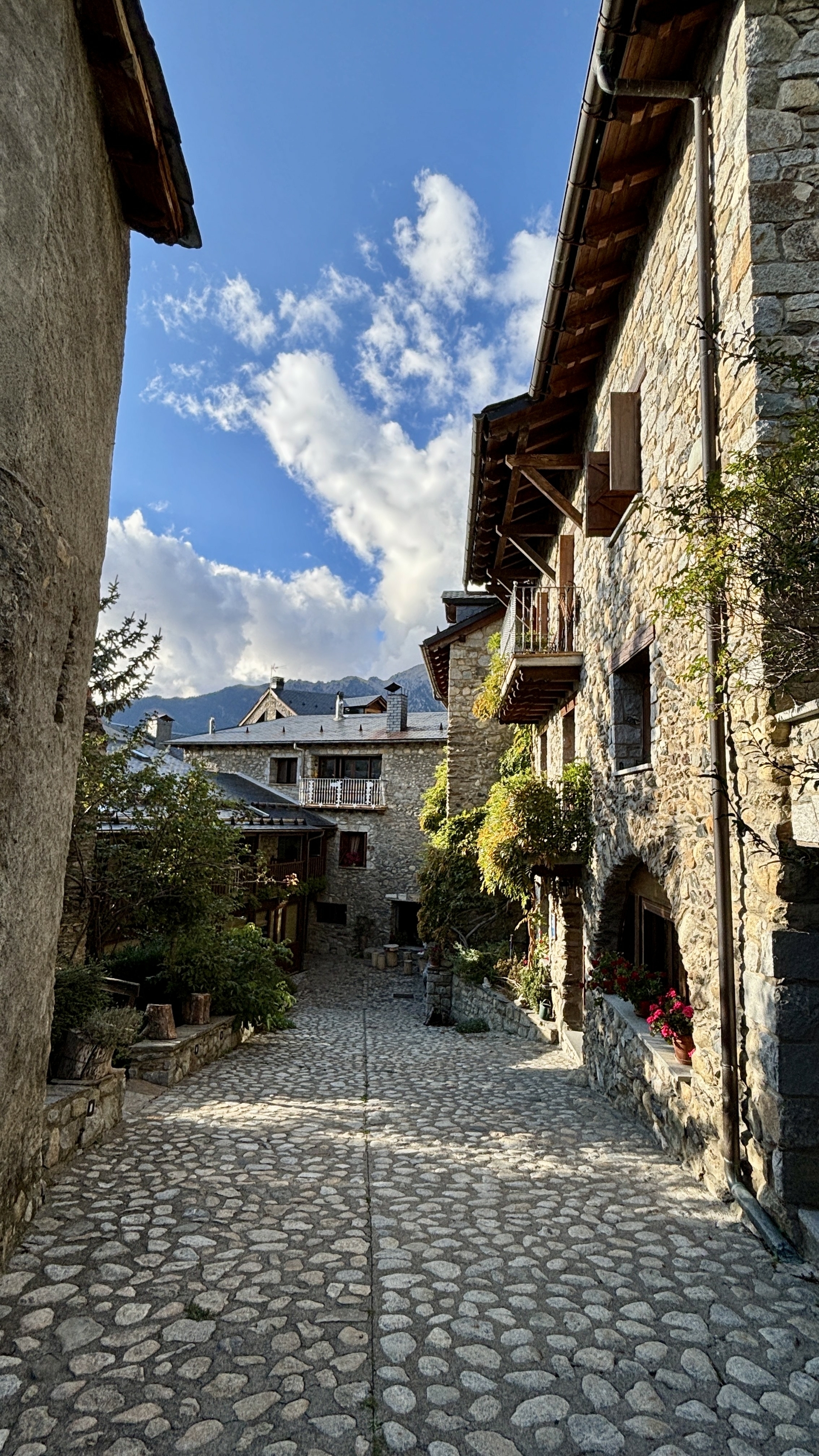 Pyreneene-2025@MikeHolley (12)