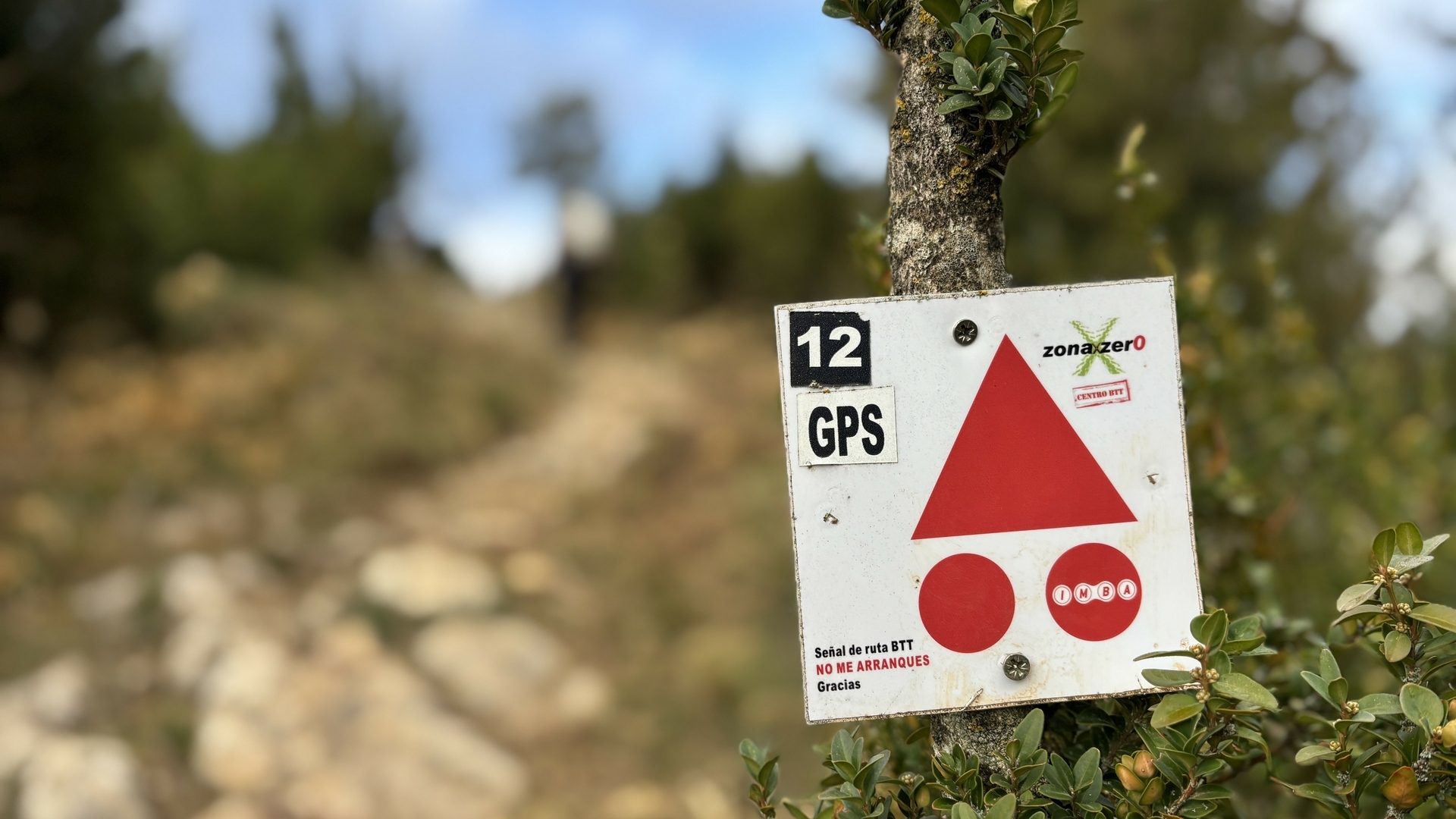 Pyreneene-2025@MikeHolley (16)