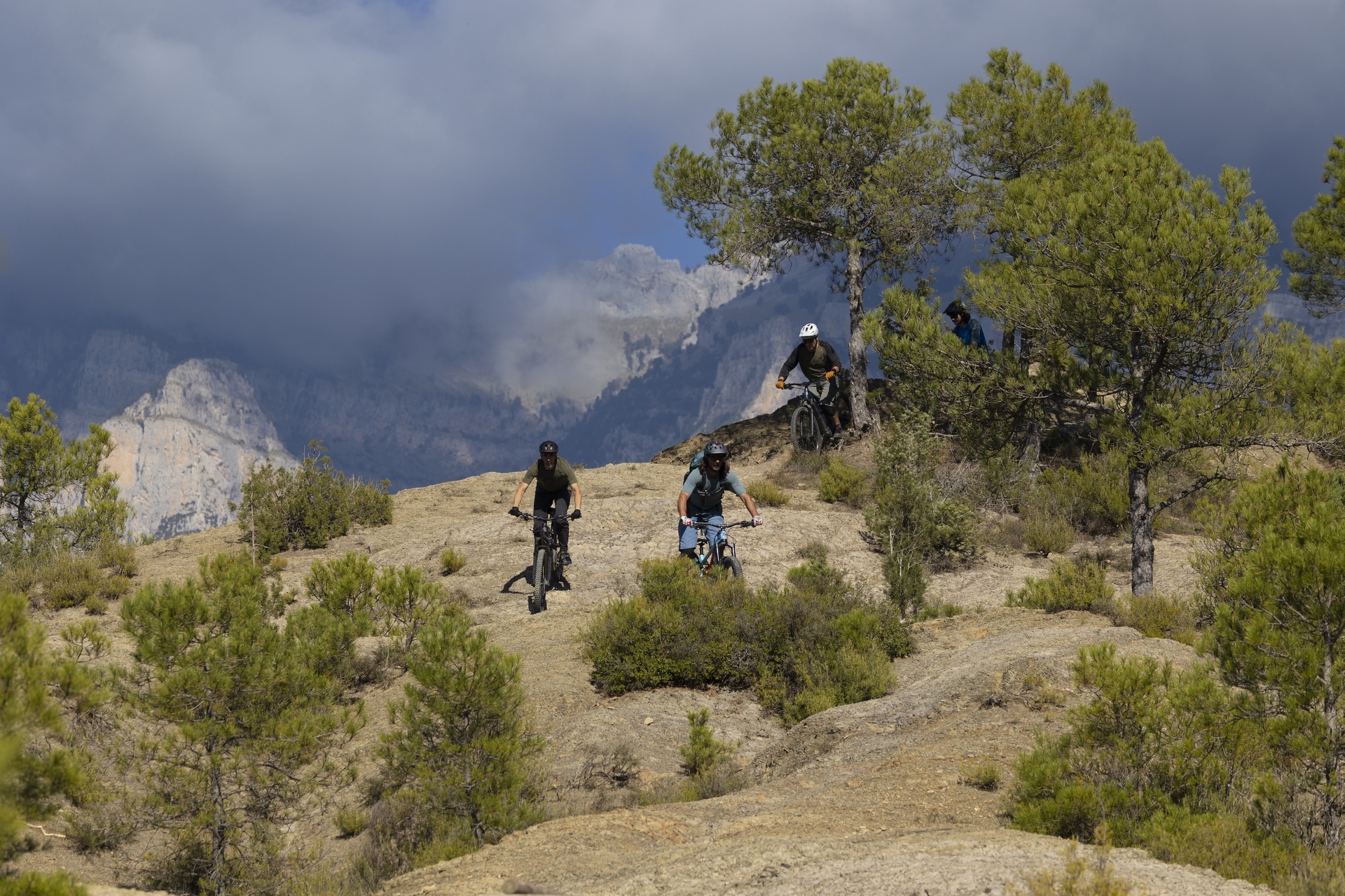 Pyreneene-2025@Blacktowntrails  (16)