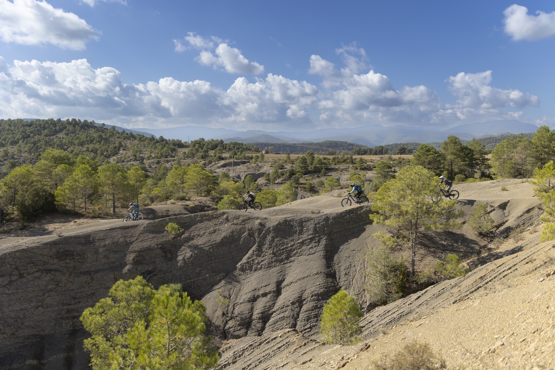 Pyreneene-2025@Blacktowntrails  (23)