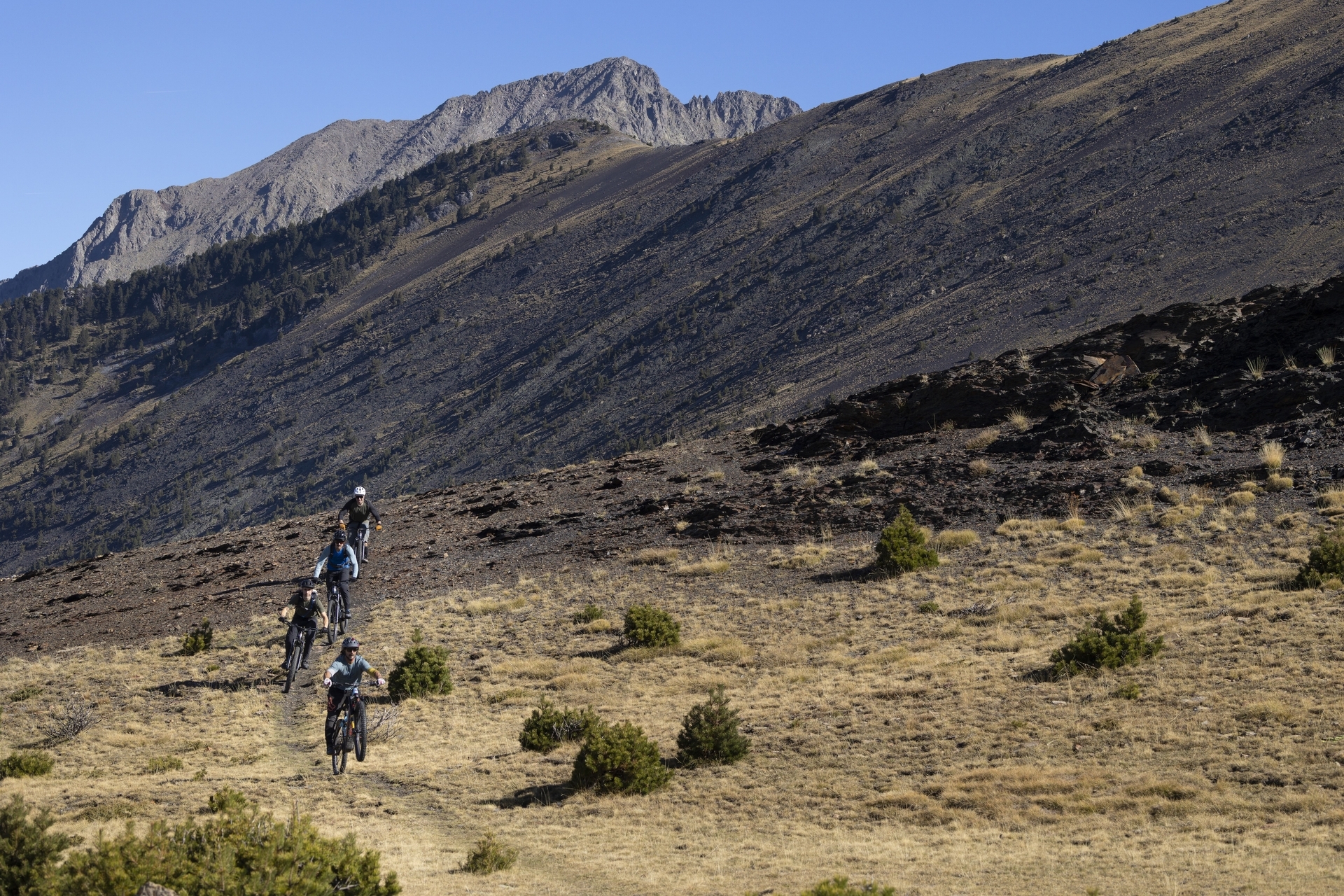 Pyreneene-2025@Blacktowntrails  (10)