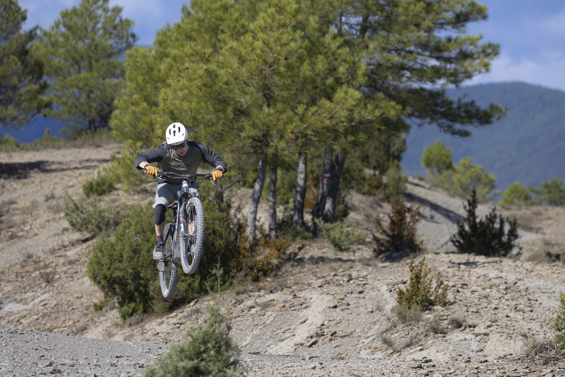 Pyreneene-2025@Blacktowntrails  (22)