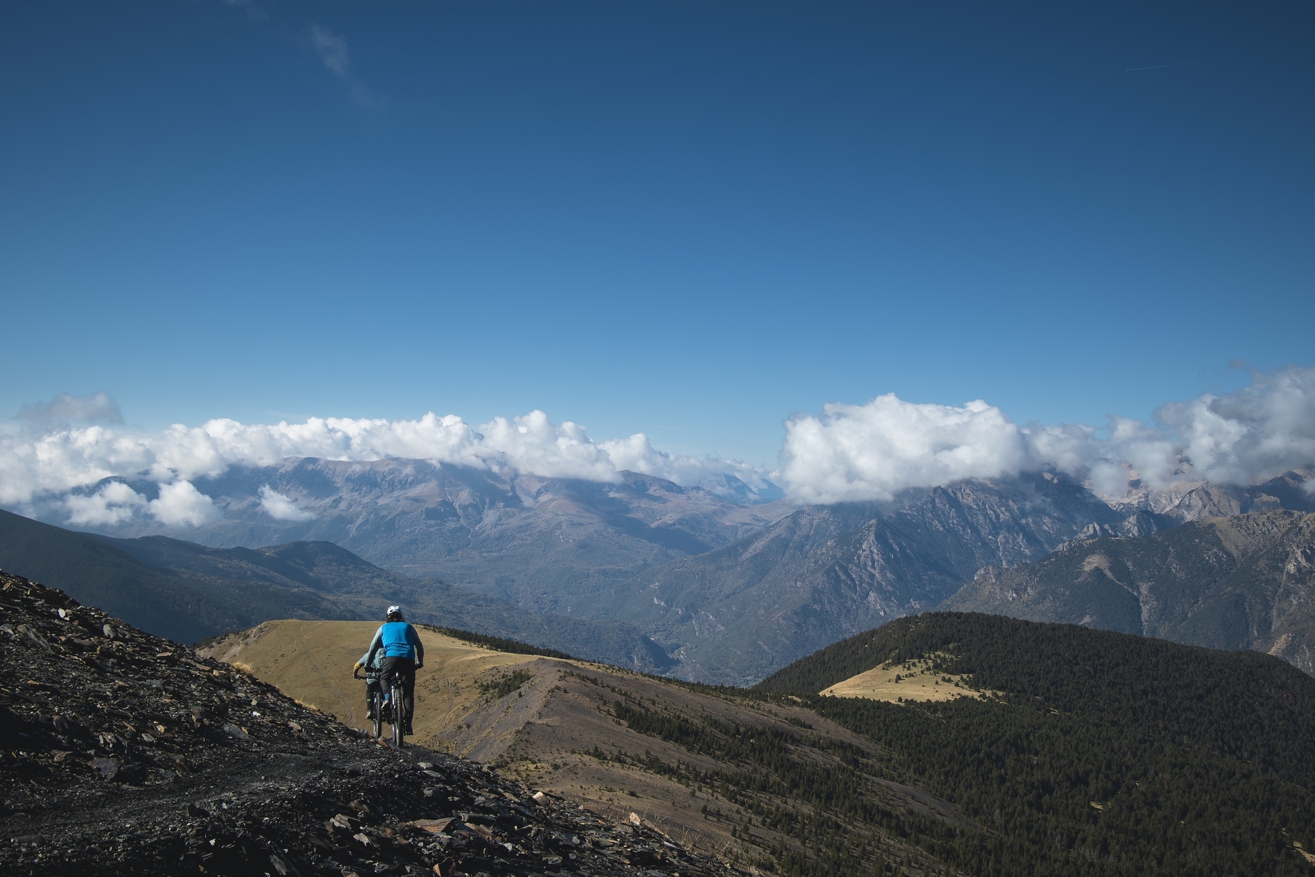Pyreneene-2025@Blacktowntrails  (9)
